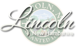 Town of Lincoln logo